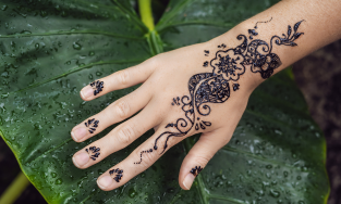 Dakshith Mehendi Art's, Bangalore